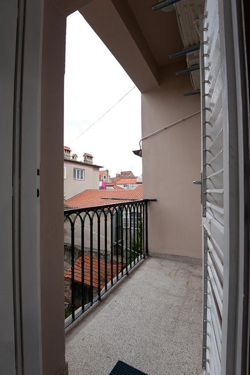 Viola * Zadar