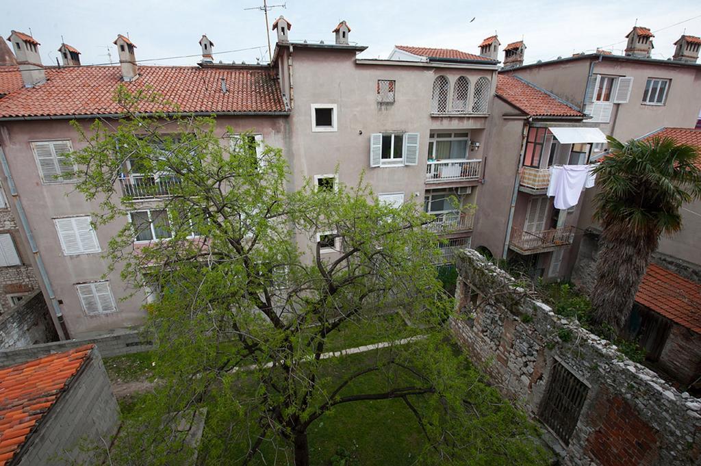 Apartment Viola *
