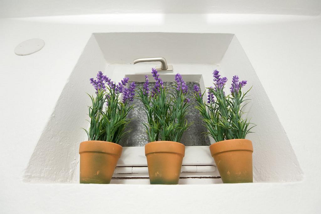 Viola * Zadar