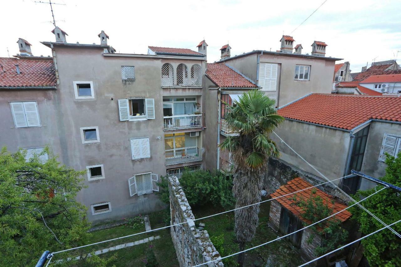 Viola * Zadar